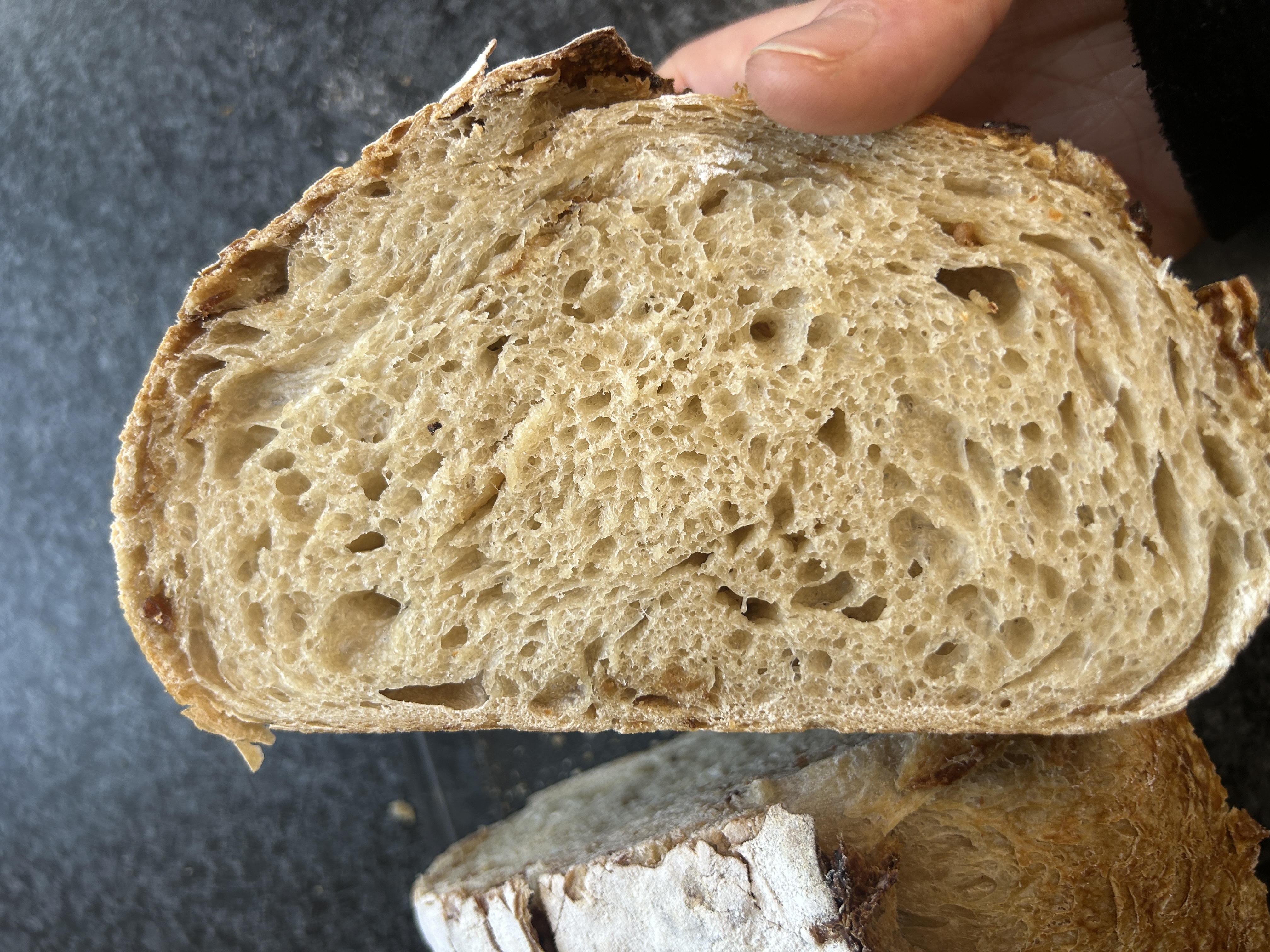 Frisch gebackenes Sauerteigbrot